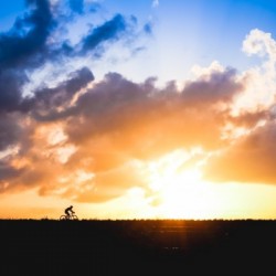 Sunset rider